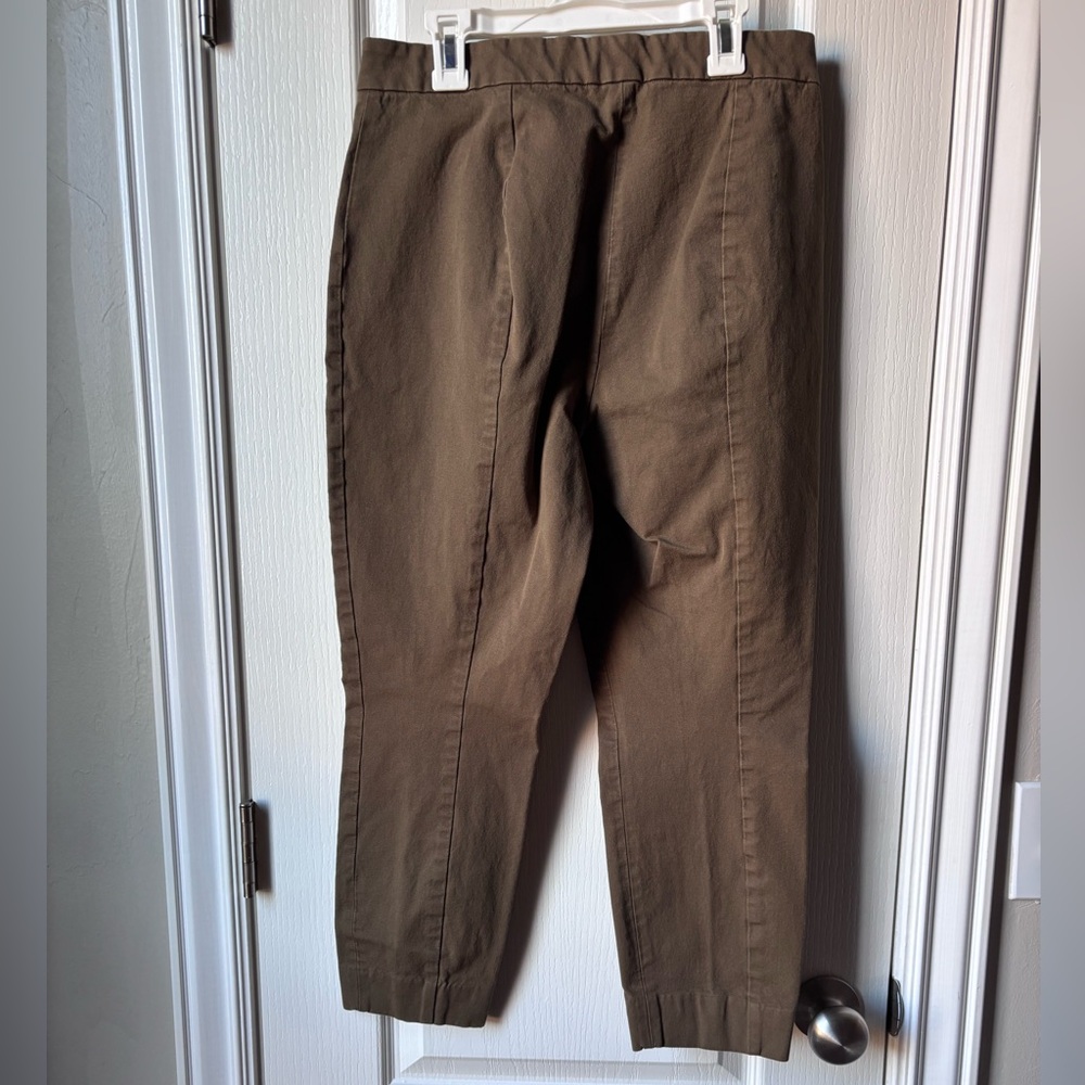 Everlane Olive Green Fitted Chinos